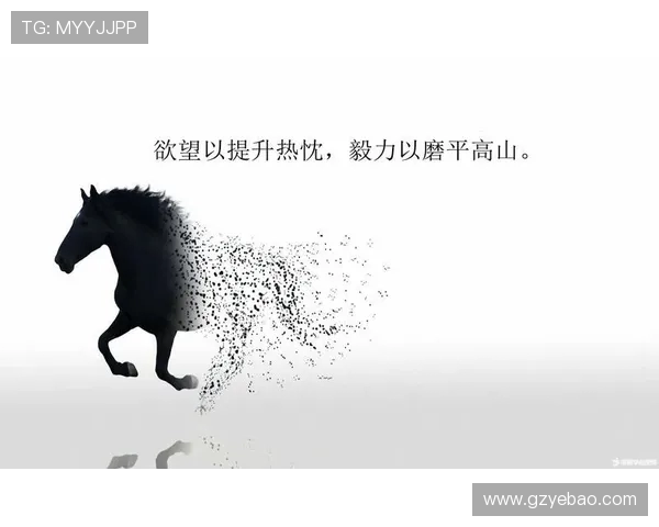 谢什科的传奇人生与不屈精神探讨:从足球场到人生舞台的启示